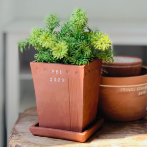 Hand-building with PEI Clay